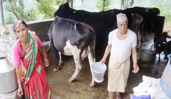 दुधको खपत बढाउन चाडपर्वमा उपभोक्तालाई छुट