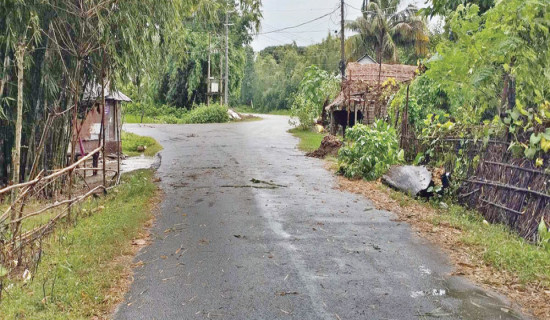 पालिकाका सबै सडक कालोपत्रे