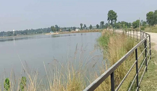 फेरियो गैँडहवा तालको मुहार