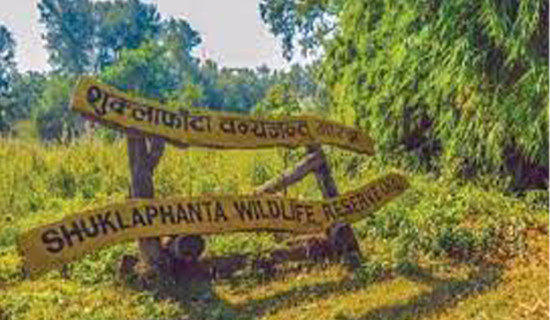 शुक्लाफाँटामा चाडपर्वसँगै पर्यटक बढे