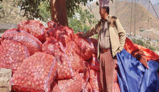 ढुवानीमा अनुदान प्याजले बजार पायो