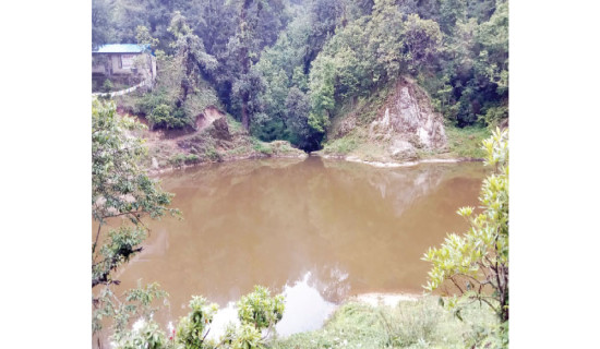 उच्च जोखिममा मकवानपुरका सिमसार