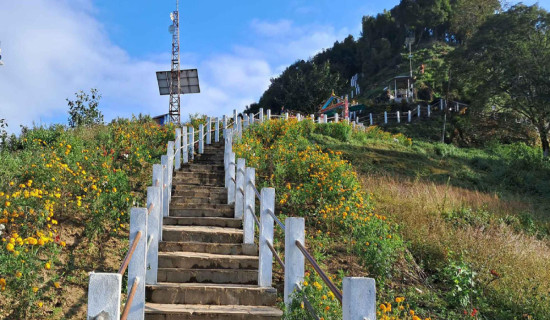 मझुवागढीलाई ‘फूलैफूलको पहाड’ बनाउने अभियान