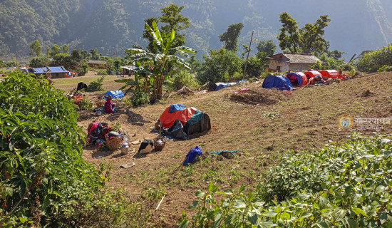 भूकम्पका कारण करिब रु. एक करोड ९० लाखका पशुपन्छीको क्षति