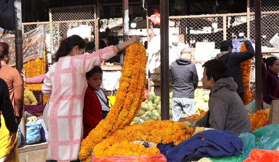 चार ठाउँलाई तोक्यो महानगरले फूल बिक्री केन्द्र