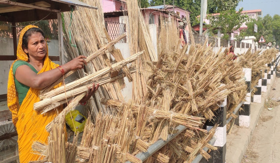 संस्कृति जोगाउन हुक्कापातिको व्यापार