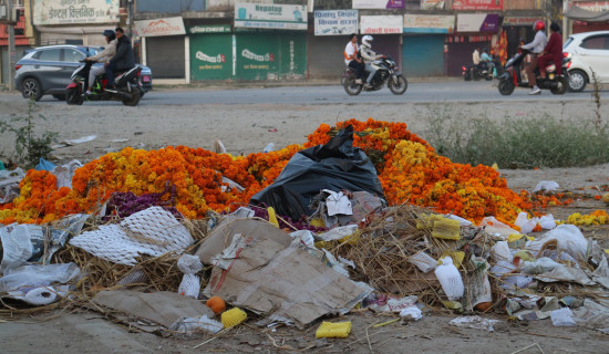 बिक्री नभएपछि किसानले फाले सडक किनारमा फूल