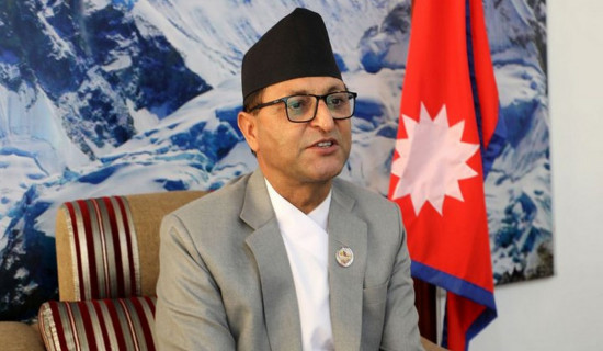 विधेयक पारित गर्न मन्त्री नै गम्भीर देखिएन: अध्यक्ष तिमिल्सिना