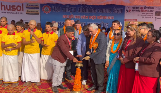 संसद् एकले अर्कालाई गाली गर्ने थलोमा परिणत भयो : कांग्रेस सांसद भण्डारी