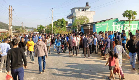 ट्रकको ठक्करबाट महिलाको मृत्यु
