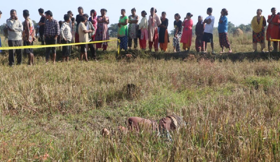 बिरालो मार्न निस्केका हरि मृत फेला