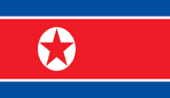 उत्तर कोरियाले सीमा सुरक्षा चौकी पुनर्निर्माणका लागि सेना पठायो : सोल