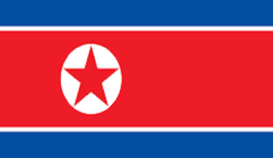 उत्तर कोरियाको जासुसी उपग्रह सञ्चालकले सेनालाई निष्कर्ष रिपोर्ट गर्ने