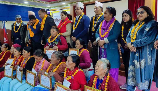 दोलखामा महिला स्वास्थ्य स्वयंसेविका दिवास