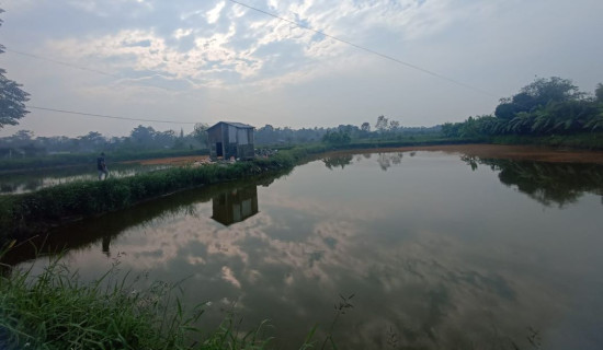 माछापालनमा आत्मनिर्भर बन्दै कृषक