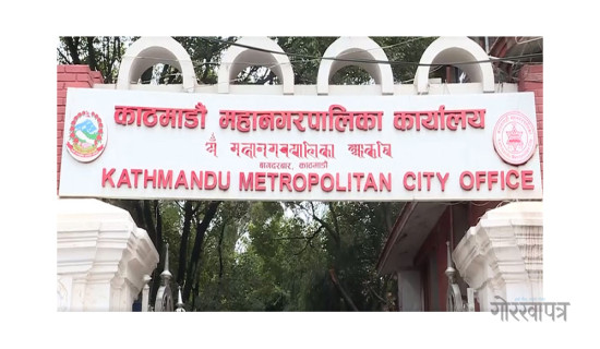 महानगरभित्र प्लास्टिकका फूल र रुख राख्न निषेध