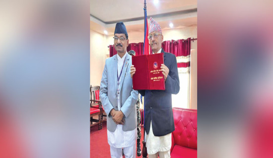 ऐनमा व्यवस्था, सभामा बेवास्ता