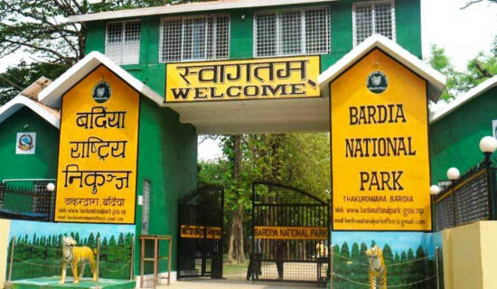 चितवन राष्ट्रिय निकुञ्जमा कर्मचारीको अभाव