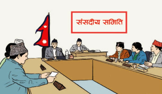 सन्तुलित विकासका लागि संसदीय समितिमा छलफल
