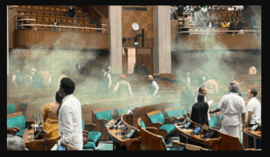 भारतीय संसदमा धुवाँ आक्रमण, चारजना पक्राउ