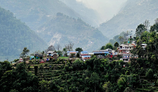 बसाइँसराइले रित्तिदै गाउँ : बढ्यो बाँदर आतङ्क