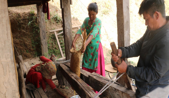 चिउरीबाट घिउ उत्पादन गर्दै चेपाङ