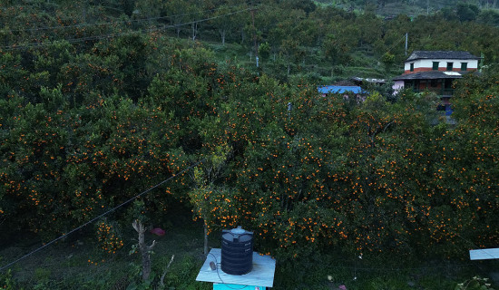 blog