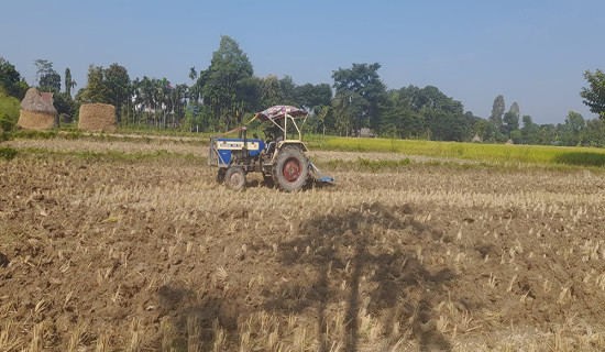 पहिलो पटक ट्याक्टरबाट जोतेको मूल्य निर्धारण