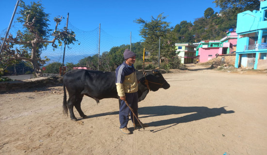 बहर पालेर मनग्गे आम्दानी