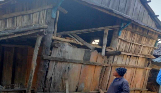 जङ्गली हात्तीद्वारा घरमा क्षति