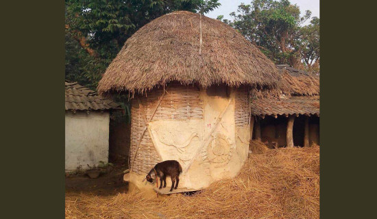 सप्तरीमा भकारी राख्ने चलन हराउँदै