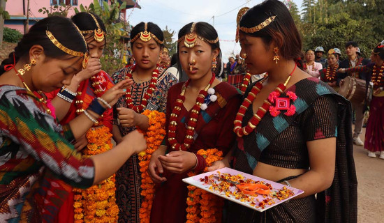 फिदिममा चासोक मेला सुरु