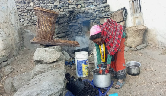 जङ्गलमा खेर गएको मेलको खुदो बजारमा