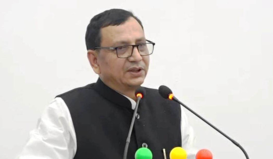 ‘सङ्घीय सरकारले प्रदेश सरकारलाई अधिकार प्रत्यायोजन गर्नुपर्छ’