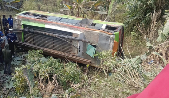 तनहुँमा बस दुर्घटना : १५ जना घाइते