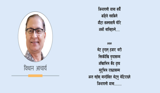 जिन्दगानी यात्रा (कविता)