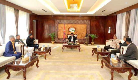 प्रधानमन्त्रीसँग मुख्यमन्त्रीहरूको भेट