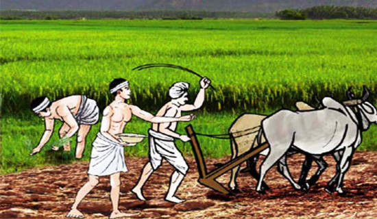 काभ्रेमा बृहत् कृषि-महोत्सव हुँदै