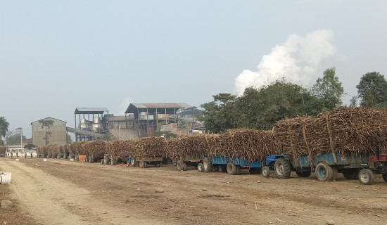 उखु किसानको सत्र करोड भुक्तानी