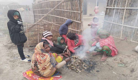 शीतलहर छल्न मुसहर समुदायद्वारा दाउरा माग