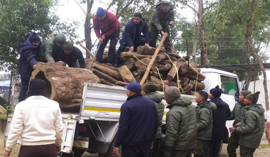 कोहलपुरका ९५ स्थानमा सामूहिक आगो ताप्ने व्यवस्था