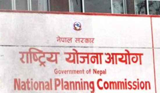 आयोगका उपाध्यक्ष र विश्व बैंक देशीय निर्देशकबीच भेटवार्ता