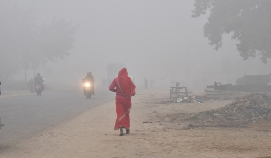 बाक्लो हुस्सु र शीतलहरका कारण तराईमा जनजीवन कष्टकर