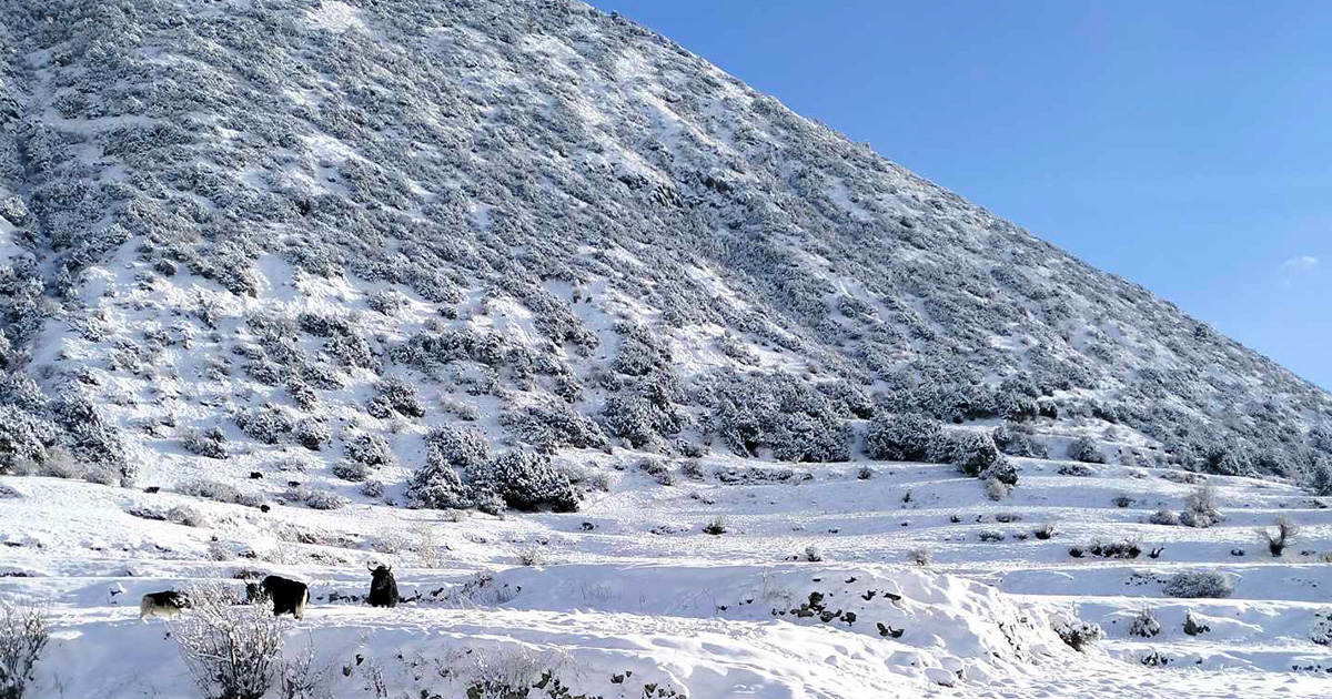 मनाङको तापक्रम माइनस २२ डिग्री सेल्सियस