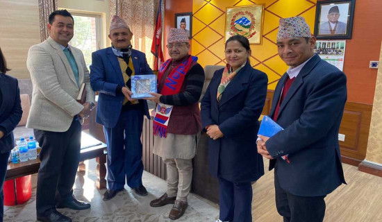 नेपाल एयरलाइन्सले सुर्खेतबाट उडान गर्ने विषयमा उपप्रधानमन्त्रीसँग छलफल