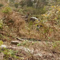 जिप दुर्घटनामा दुई भुटानी नागरिकको मृत्यु, पाँचजना गम्भीर घाइते