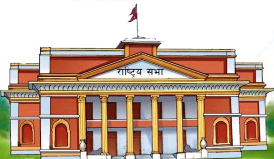 विधायन सम्बन्धमा व्यवस्था गर्न बनेको विधेयकमा दफावार छलफल