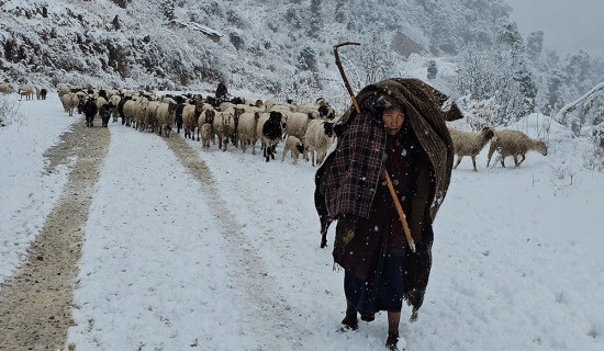 उपत्यकामा वर्षा, उच्च हिमाली क्षेत्रमा हिमपात