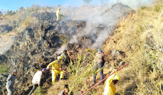 सामुदायिक वनमा आगो लाग्दा बिरुवामा क्षति