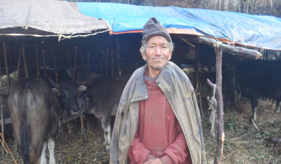 म्याग्दीका घुम्ती गोठ रित्तिँदै